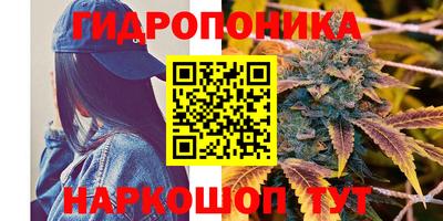 спайс Обь