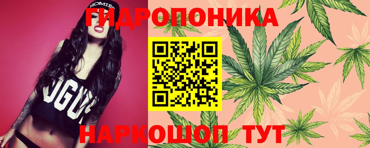 Бошки Шишки ГИДРОПОН Ростов-на-Дону